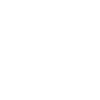 icon for auto insurance